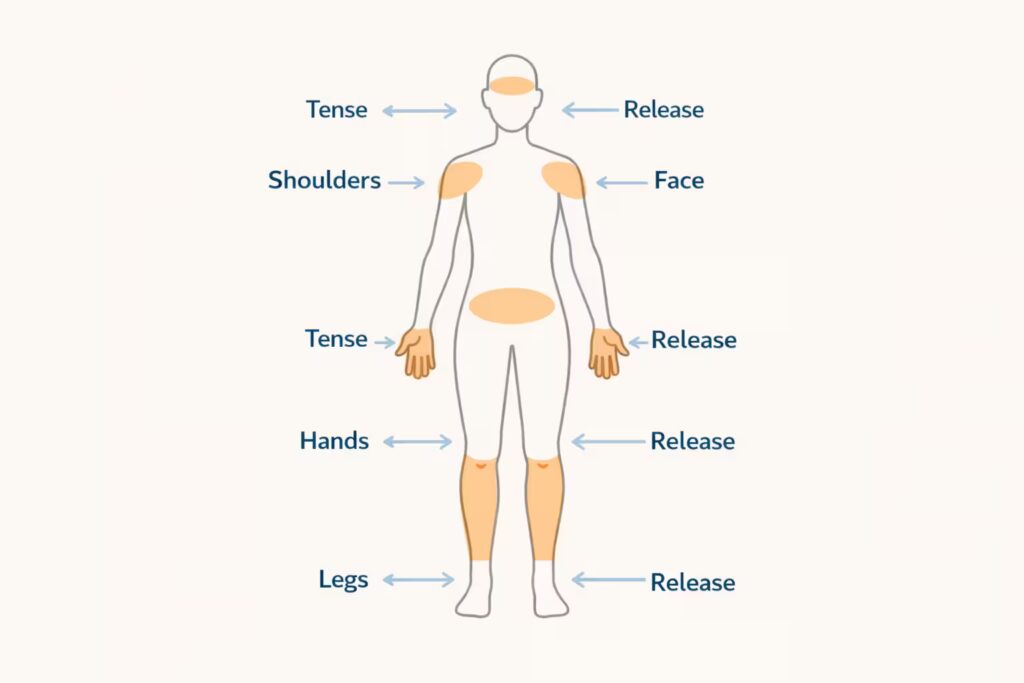Progressive muscle relaxation body map highlighting tension-and-release areas